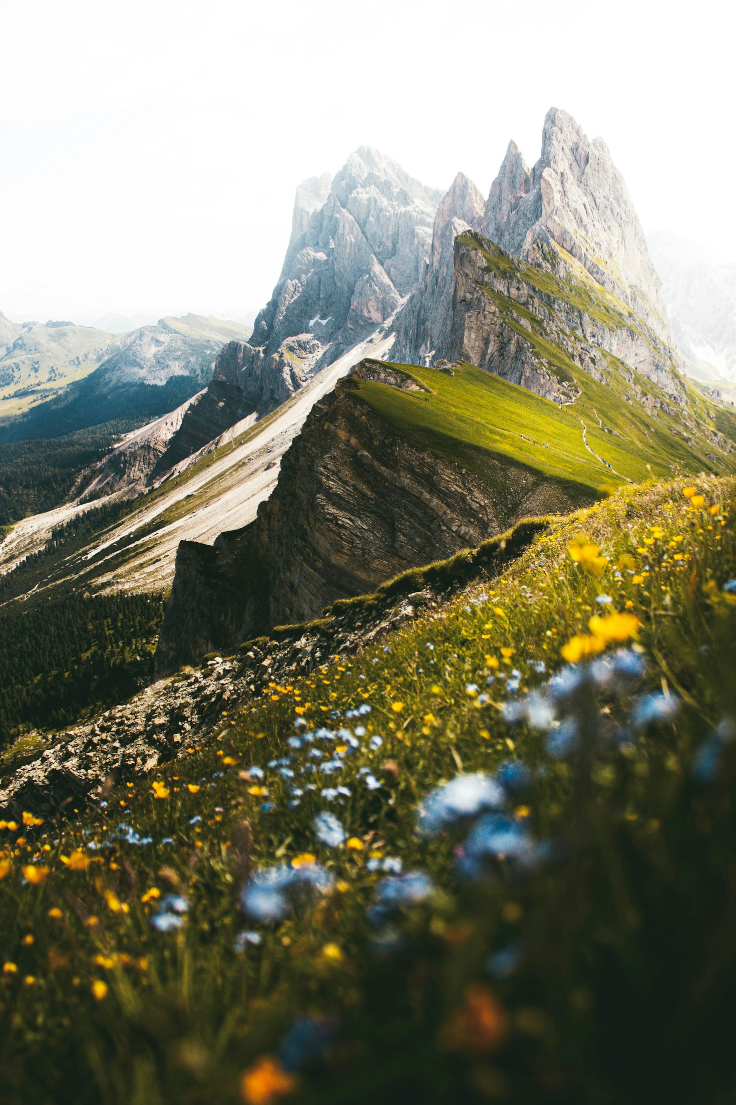 Essential Gear For Your Next Adventure