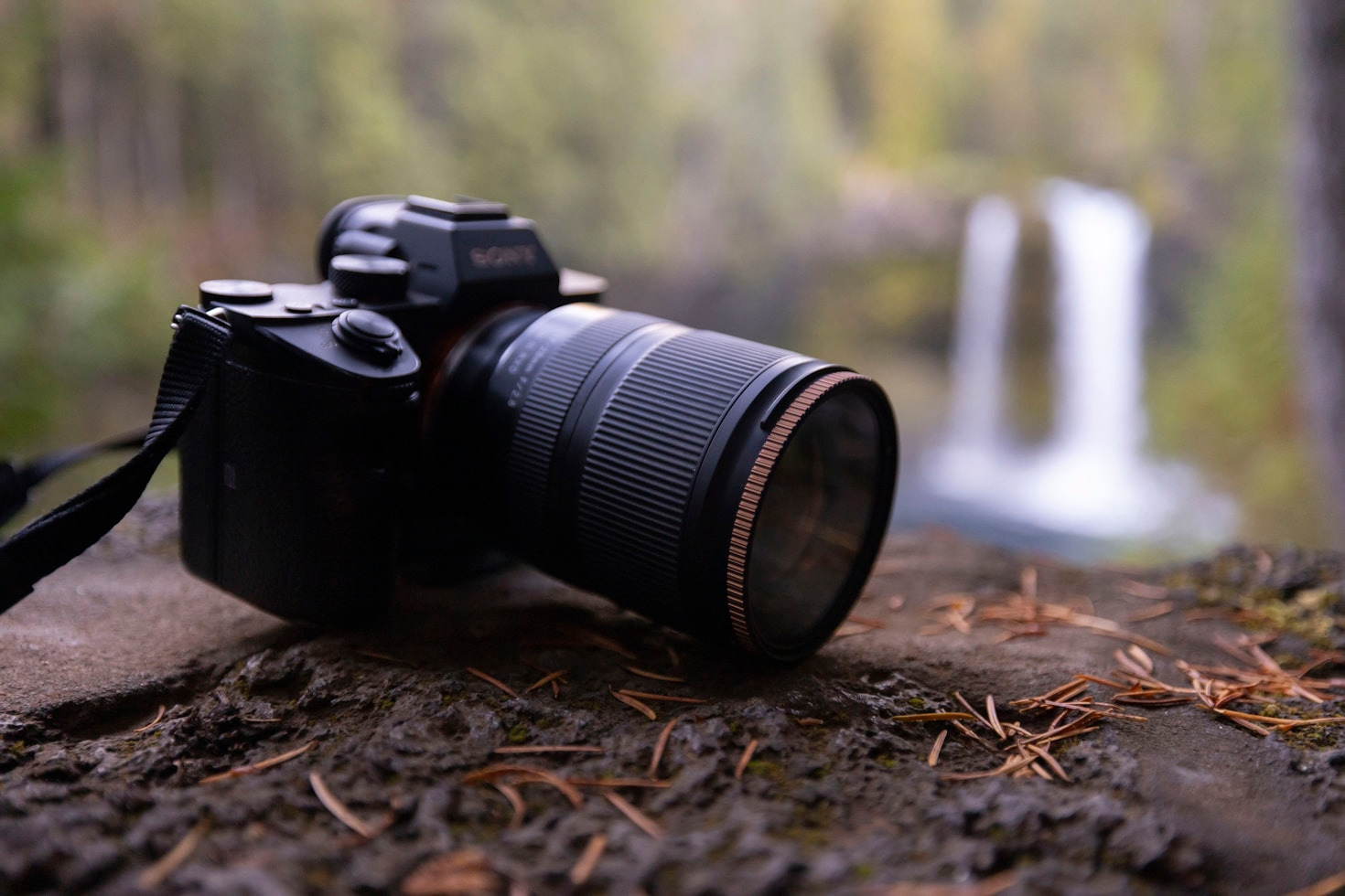 Connecting With Nature Through Every Image